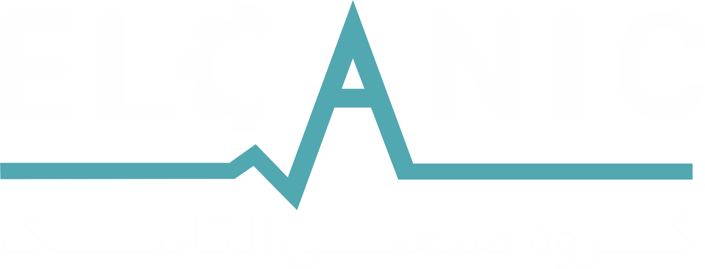 Elcanic Co